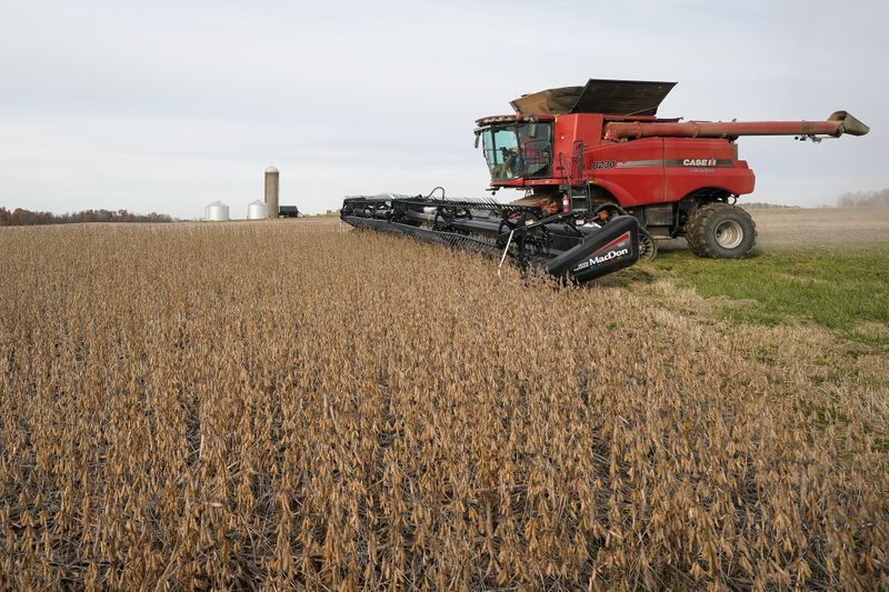 &copy; Reuters. Soybeans are harvested from a field on Hodgen Farm in Roachdale, Indiana, U.S. November 8, 2019.  REUTERS/Bryan Woolston