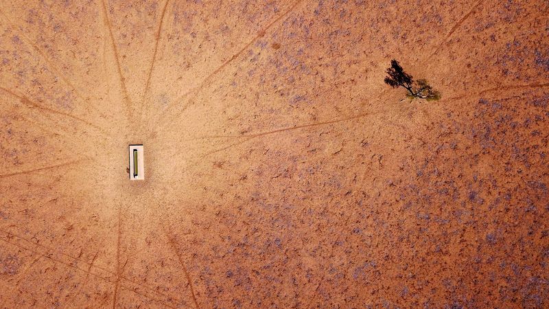 © Reuters. FILE PHOTO: A lone tree stands near a water trough in a drought-effected paddock located on the outskirts of Walgett, in New South Wales, Australia, July 20, 2018. REUTERS/David Gray