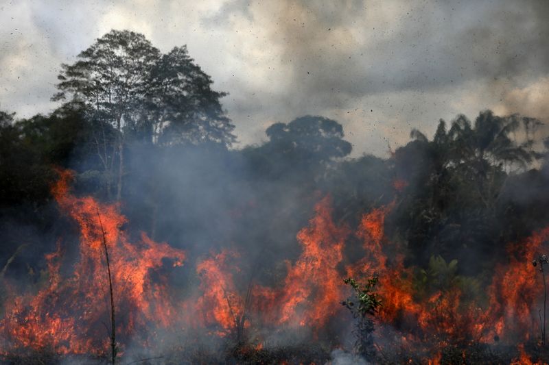 &copy; Reuters. Incêndio destrói árvores da floresta amazônica em Lábrea (AM)
01/09/2021
REUTERS/Bruno Kelly