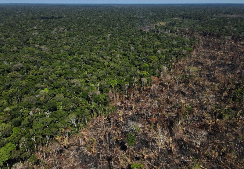 &copy; Reuters. Foto de archivo de una zona del Amazonas quemada en Labrea, Brasil
Sep 2, 2021 
REUTERS/Bruno Kelly