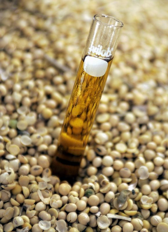 &copy; Reuters. Amostra de biodiesel à base de óleo de soja em Chacabuco, Argentina 
06/10/2005
REUTERS/Marcos Brindicci