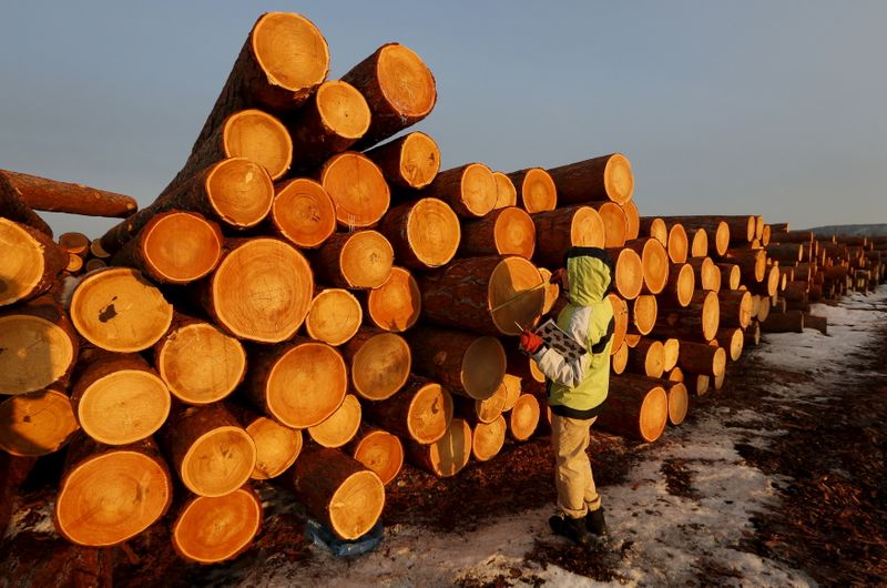 &copy; Reuters. An employee measures the trunk of logs at the Boguchansky wood processing plant in the Taiga forest north of the village of Boguchany in Krasnoyarsk region, Siberia, Russia, March 22, 2016. The plant, which was founded in 2008, exports timber to Europe, J