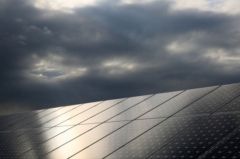&copy; Reuters. Paineis de energia fotovoltaica. 28/5/2014. REUTERS/Paul Hackett
