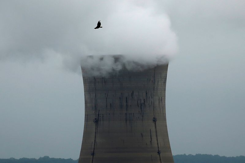 © Reuters. FILE PHOTO: A bird flies over the Three Mile Island Nuclear power plant in Goldsboro, Pennsylvania, U.S. May 30, 2017.   REUTERS/Carlo Allegri/File Photo