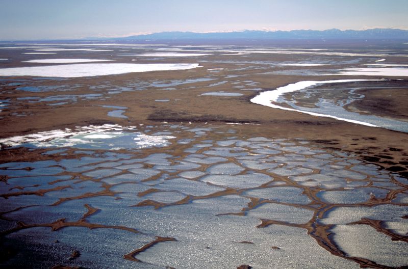 &copy; Reuters. FILE PHOTO: The coastal plain within the 1002 Area of the Arctic National Wildlife Refuge is seen in this undated handout photo provided by the U.S. Fish and Wildlife Service Alaska Image Library. The Brooks mountain range in the distance is not part of t
