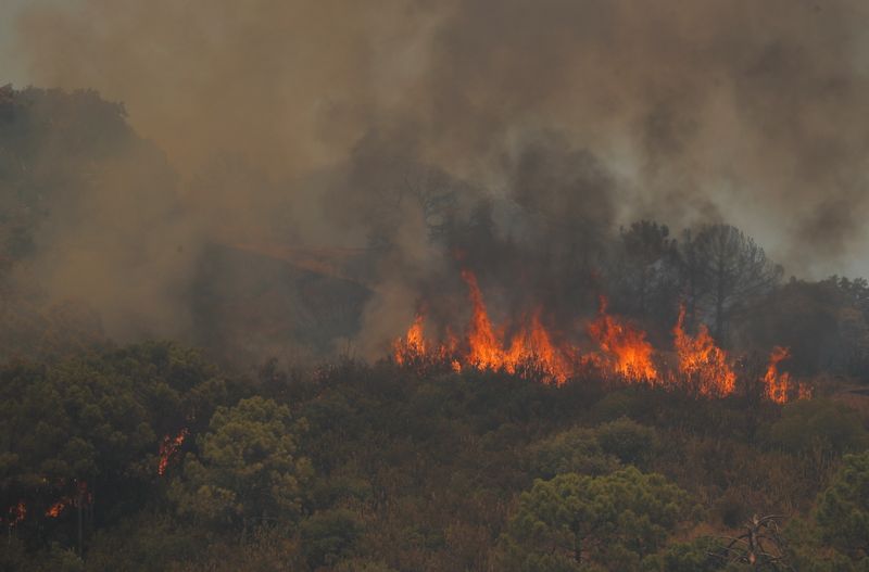 &copy; Reuters. حرائق الغابات في جبل سييرا بيرميخا بإسبانيا يوم الخميس. رويترز