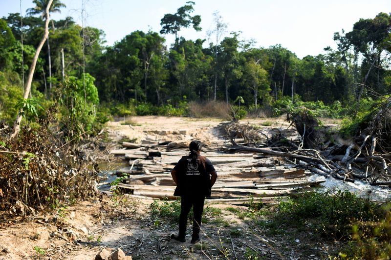 &copy; Reuters. أحد أفراد قبيلة كايابو البرازيلية يراقب الأشجار التي جرى تقطيعها في قرية كرميج في ولاية بارا في جنوب غرب البرازيل يوم 7 سبتمبر أيلول 2021. تصوي