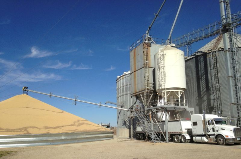 &copy; Reuters. IMAGEN DE ARCHIVO REFERENCIAL. Un camión es cargado con maíz junto a una pila de soja en el elevador Matawan Grain & Feed, cercad de New Richland Minnesota, EEUU. Octubre 14, 2015.   REUTERS/Karl Plume