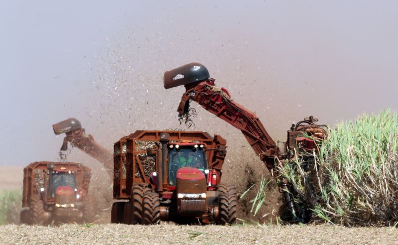 &copy; Reuters. Imagen de archivo de la cosecha de caña de azúcar en un campo del molino Sao Martinho, en Pradopolis, Brasil. 13 septiembre 2018. REUTERS/Paulo Whitaker