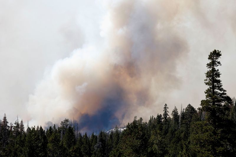 &copy; Reuters. IMAGEN DE ARCHIVO REFERENCIAL. Se ve humo en un incendio cerca de Kirkwood, California, EEUU, Septiembre 1, 2021. REUTERS/Fred Greaves