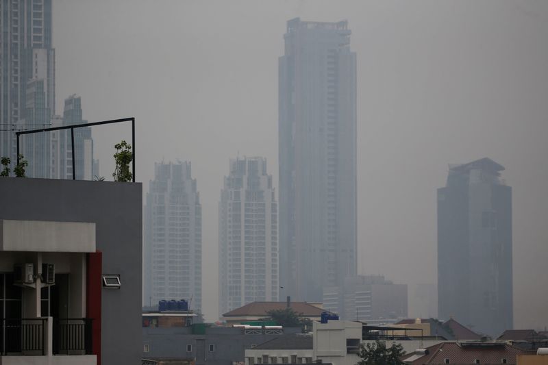 &copy; Reuters. FILE PHOTO: Plants are seen on a rooftop as smog covers Jakarta, Indonesia, June 24, 2021. REUTERS/Willy Kurniawan