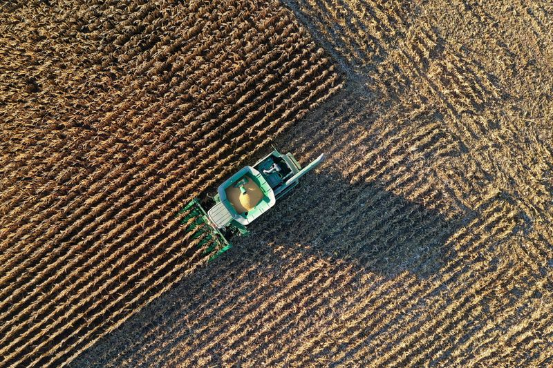 &copy; Reuters. FILE PHOTO: Farmer Roger Hadley harvests corn from his fields in his John Deere combine in this aerial photograph taken over Woodburn, Indiana, U.S., October 16, 2020.  REUTERS/Bing Guan