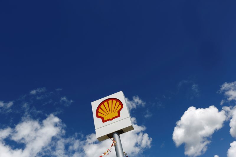 &copy; Reuters. FILE PHOTO: The Shell logo is pictured at a gas station in the western Canakkale province, Turkey, April 25, 2016. REUTERS/Murad Sezer