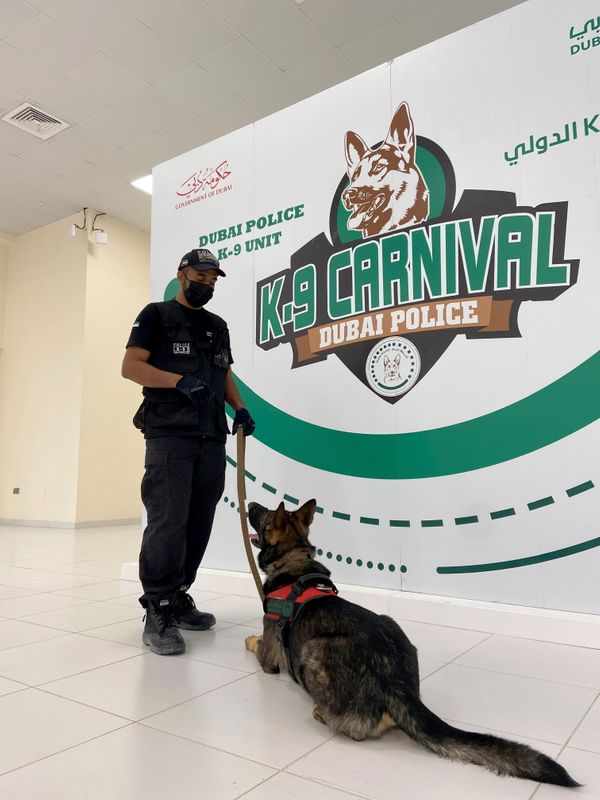 &copy; Reuters. أحد الكلاب المدربة للكشف عن كوفيد-19 في دبي في صورة بتاريخ 13 سبتمبر ايلول 2021. تصوير: عبد الهادي الرمحي - رويترز.