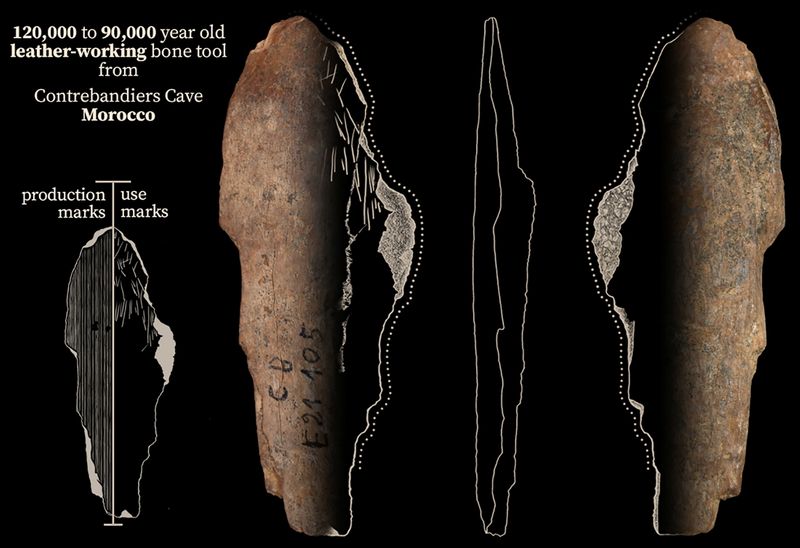 &copy; Reuters. Artefactos arqueológicos de hace 120.000 años encontrados en la cueva de Contrebandiers, Marruecos.
Jacopo Niccolo Cerasoni/Entregada vía REUTERS
NO USAR EN VENTAS NI ARCHIVOS, IMAGEN PROVISTA POR UN TERCERO