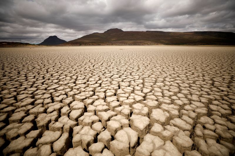 &copy; Reuters. FILE PHOTO: Clouds gather but produce no rain as cracks are seen in the dried up municipal dam in drought-stricken Graaff-Reinet, South Africa, November 14, 2019. REUTERS/Mike Hutchings