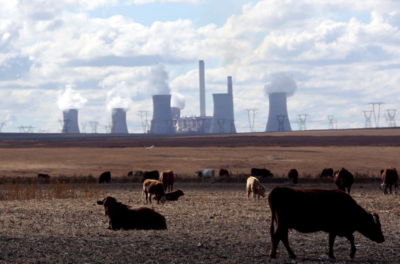 &copy; Reuters. Des vaches paissent près d'une une central à charbon dans la province de Mpumalanga, en Afrique du Sud. Les pays riches ont probablement raté leur objectif de financement de 100 milliards de dollars (84,8 milliards d'euros) du fonds destiné à aider l
