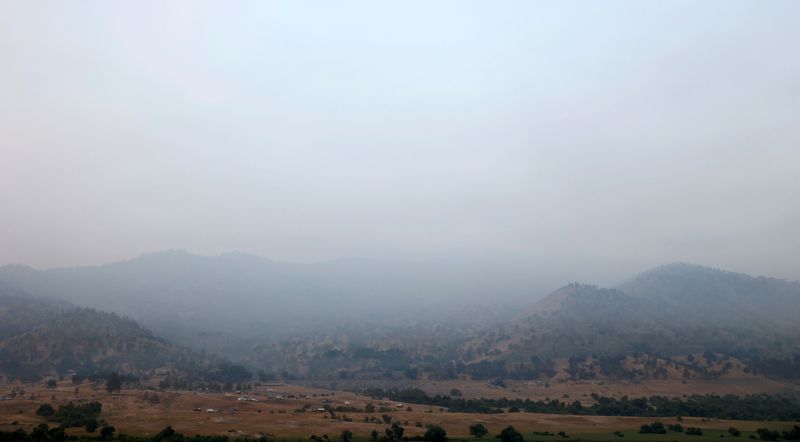 &copy; Reuters. دخان يلف المنطقة بالقرب من ثري ريفرز بولاية كاليفورنيا الأمريكية يوم الجمعة. تصوير: فريد جريفز - رويترز. 