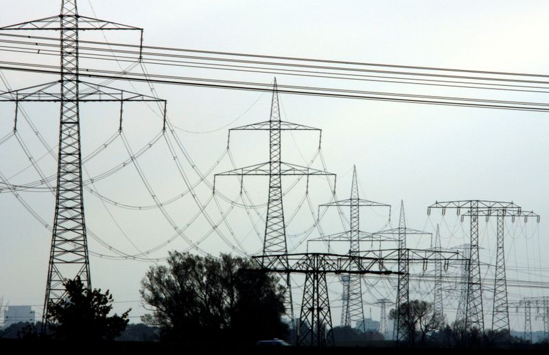 &copy; Reuters. FILE PHOTO: High-voltage power lines and electricity pylons pictured near Berlin, November 7, 2006. REUTERS/Pawel Kopczynski