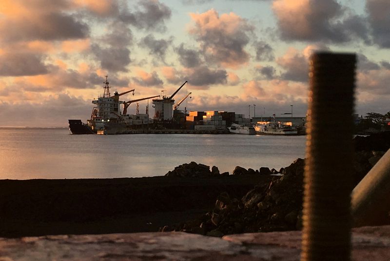 Top global companies call for zero emmissions shipping by 2050