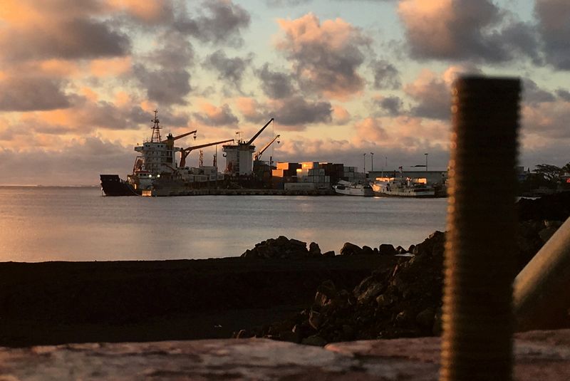 &copy; Reuters. FILE PHOTO: A container ship unloads at the Matautu port, which has been expanded through support from Japan, in the Samoan capital of Apia, July 12, 2019. REUTERS/Jonathan Barrett