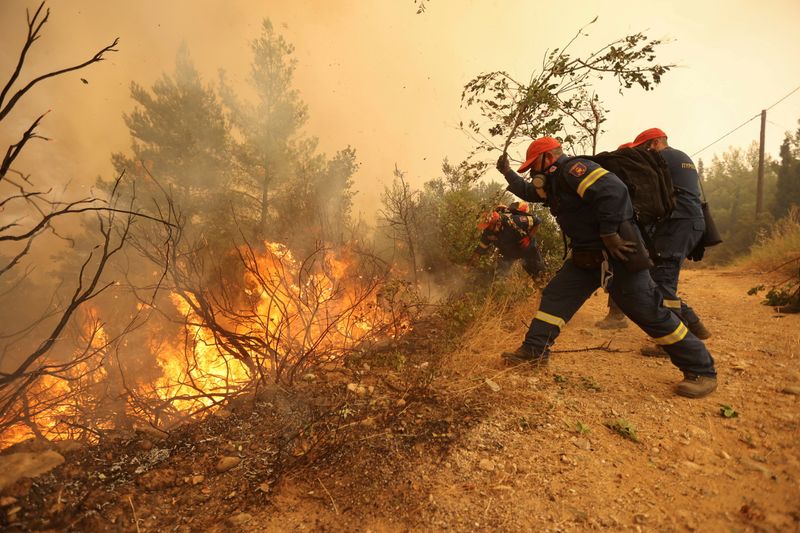 &copy; Reuters. FILE PHOTO: Firefighters and volunteers try to extinguish a wildfire burning in the village of Galatsona, on the island of Evia, Greece, August 9, 2021. REUTERS/Nicolas Economou/File Photo