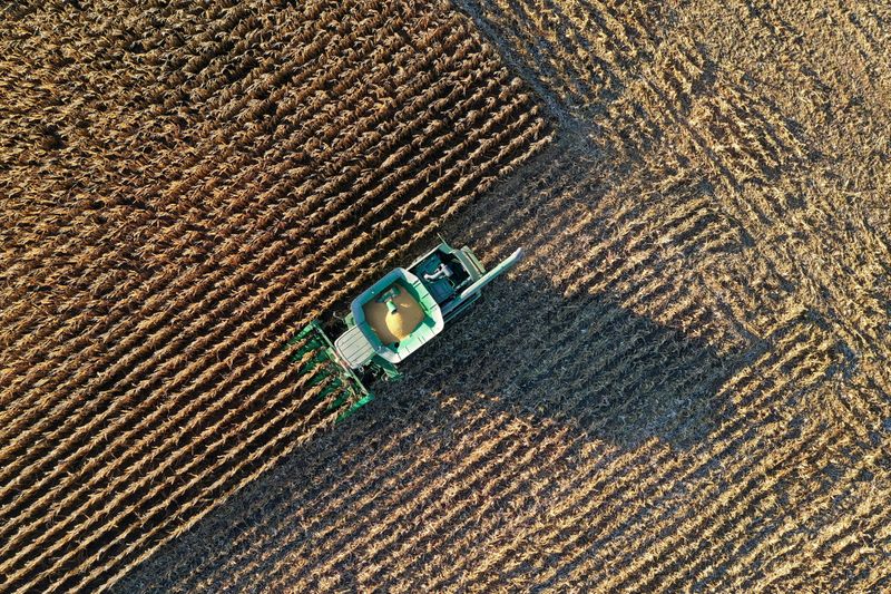 &copy; Reuters. Fazendeiro colhe milho de campo em Woodburn, Indiana. 
16/10/2020  
REUTERS/Bing Guan