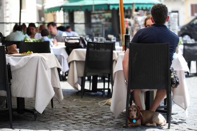 &copy; Reuters. FILE PHOTO: A dog is seen under a chair of a restaurant at Campo de' Fiori, as the region of Lazio becomes a restriction-free "white zone" where only masks and social distancing are required, in Rome, Italy, June 14, 2021. REUTERS/Yara Nardi