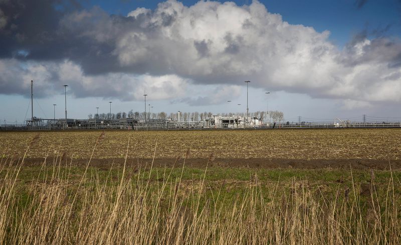 © Reuters. FILE PHOTO: A view of a gas production plant is seen in 't Zand in Groningen February 24, 2015. REUTERS/Michael Kooren