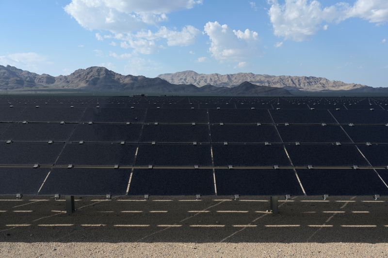 &copy; Reuters. FILE PHOTO: Solar panels are seen at the Desert Stateline project near Nipton, California, U.S. August 16, 2021. Picture taken August 16, 2021.  REUTERS/Bridget Bennett/File Photo