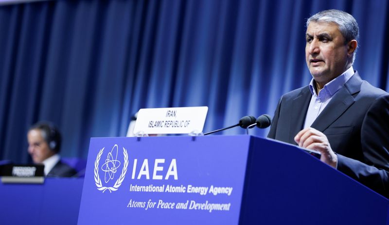 &copy; Reuters. محمد إسلامي نائب الرئيس الإيراني ورئيس منظمة الطاقة الذرية الإيرانية يلقي كلمة في فيينا يوم 20 سبتمبر أيلول 2021. تصوير: ليونارد فيجر - رويترز.
