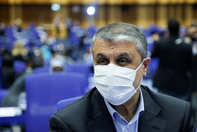 &copy; Reuters. محمد إسلامي رئيس منظمة الطاقة الذرية الإيرانية لدى حضوره المؤتمر العام للوكالة الدولية للطاقة الذرية في مقر المنظمة بفيينا يوم 20 سبتمبر أي