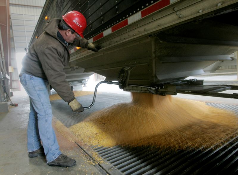 &copy; Reuters. Caminhão descarrega milho em Iowa
6/12/2007
  REUTERS/Jason Reed