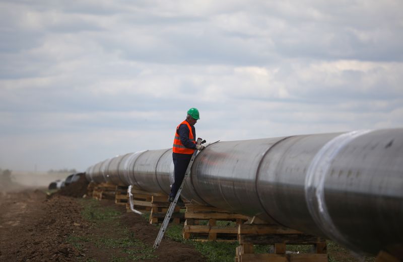 &copy; Reuters. A worker is seen next to a pipe at a construction site on the extension of Russia's TurkStream gas pipeline after a visit of Serbia's President Aleksandar Vucic and Bulgaria's Prime Minister Boyko Borissov, in Letnitsa, Bulgaria, June 1, 2020. REUTERS/ St