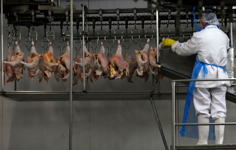 &copy; Reuters. Carne de frango em frigorífico em Itatinga (SP) 
04/10/2011
REUTERS/Paulo Whitaker