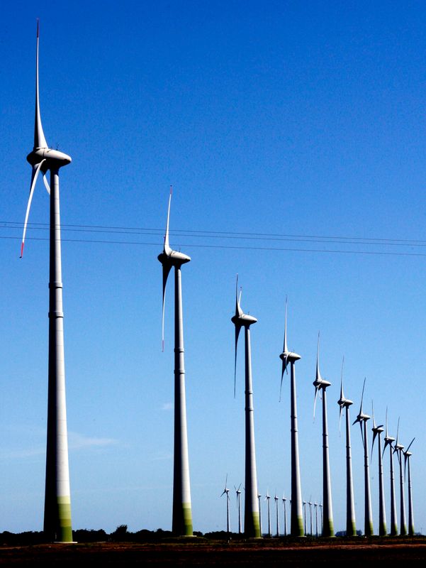 &copy; Reuters. Parque de energia eólica 
30/11/2007
REUTERS/Jamil Bittar