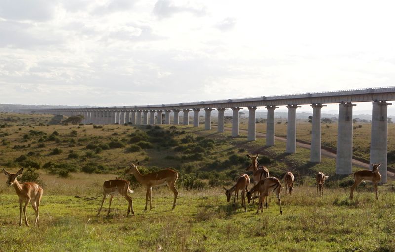&copy; Reuters. FILE PHOTO: A group of impala graze near the elevated railway line that allows movement of animals below the Standard Gauge Railway (SGR) line linking Nairobi and Naivasha inside the Nairobi national park in Nairobi, Kenya October 16, 2019. REUTERS/Njeri 