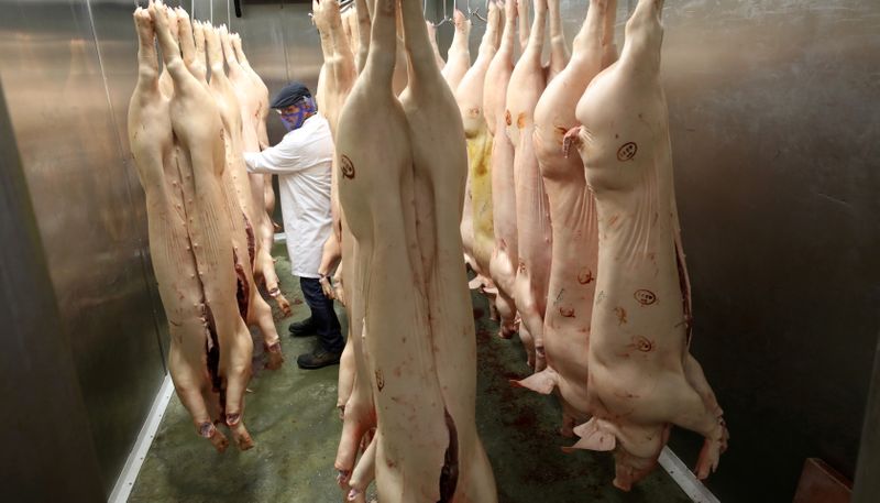 © Reuters. FILE PHOTO: Pig carcasses inside a refrigerator in Glossop, Britain, September 27, 2021. REUTERS/Phil Noble/File Photo