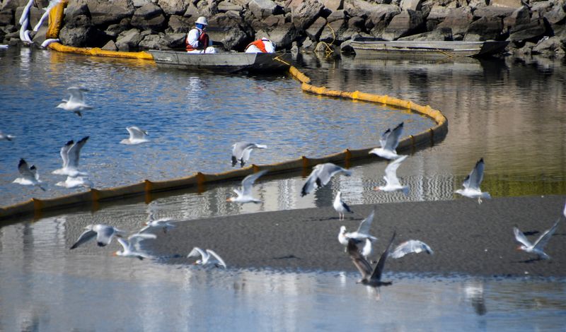 &copy; Reuters. 米カリフォルニア州ロサンゼルス近郊の沖合で推定１２万６０００ガロン（３０００バレル）の原油が流出し、海岸に到達した。地元ハンティントン市が発表した。写真は３日、ハンティン