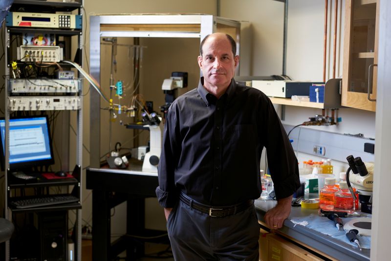 &copy; Reuters. Professor David Julius da Universidade da Califórnia, posa para foto em San Francisco em 2016 
UCSF/Steve Babuljak/Divulgação via REUTERS 