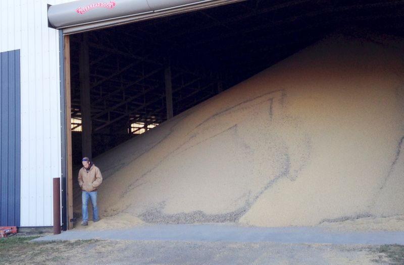 &copy; Reuters. Silo com soja
13/10/2015
REUTERS/Karl Plume