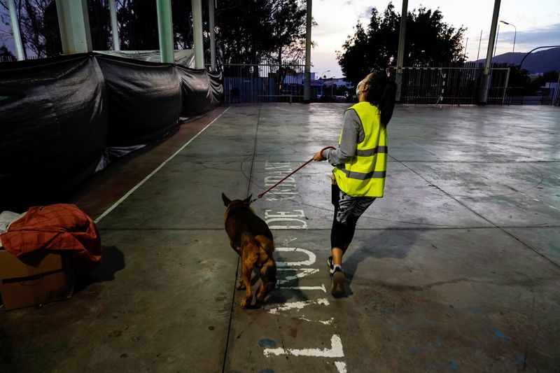 &copy; Reuters. عضوه بجمعية بناوارا لحماية النباتات والحيوانات تسير مع كلب تأويه الجمعية بسبب ثوران بركان كومبري فييخا بجزيرة لا بالما يوم الثلاثاء. تصوير: