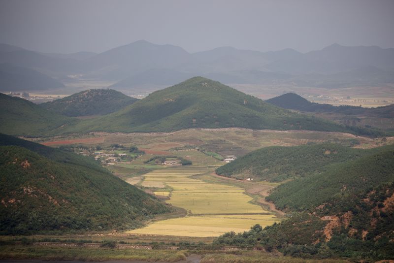 © Reuters. مشهد عام لحقل مزروع بالأرز في بلدة كايبونج جنوب المنطقة منزوعة السلاح التي تفصل بين الكوريتين في جيامبو بكوريا الجنوبية يوم الثلاثاء. تصوير: رويترز.