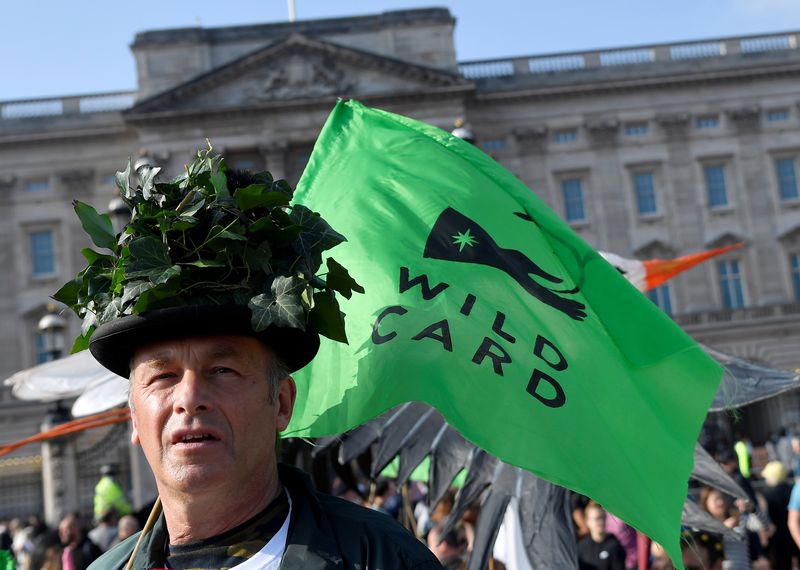 &copy; Reuters. كريس باكام، الناشط والمذيع امعروف في مجال الحفاظ على البيئة، يشارك في مسيرة من وسط لندن إلى قصر بكنجهام يوم السبت. تصوير: توبي ملفيل - رويترز.