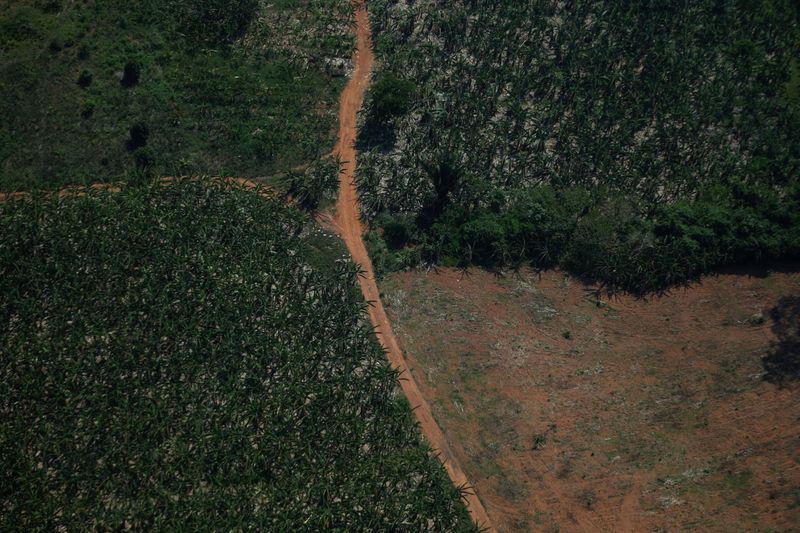 &copy; Reuters. FILE PHOTO: An aerial view shows a deforested plot of the Amazon rainforest in Rondonia State, Brazil September 28, 2021. REUTERS/Adriano Machado