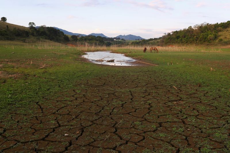 &copy; Reuters. Foto ilustrativa de caballos cerca del terreno secao en la represa de Jaguari, que forma parte del sistema de embalses de Cantareira, en medio de una sequía en Joanopolis, cerca de Sao Paulo, Brasil 
Oct 8, 2021. REUTERS/Amanda Perobelli