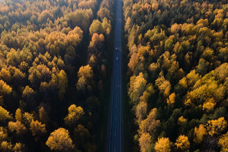&copy; Reuters. Cars drive along a road amidst an autumn-coloured forest in Leningrad Region, Russia October 4, 2021. REUTERS/Anton Vaganov