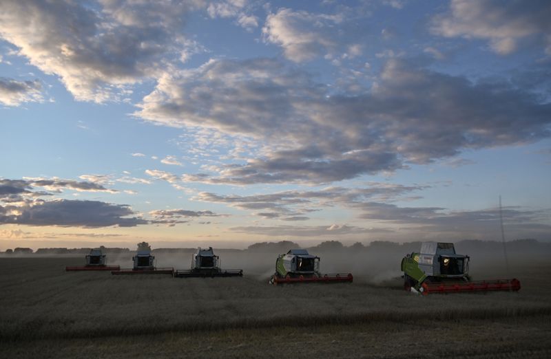 © Reuters. Combines harvest wheat in a field of Triticum farm in Omsk Region, Russia September 16, 2020. Picture taken September 16, 2020.  REUTERS/Alexey Malgavko
