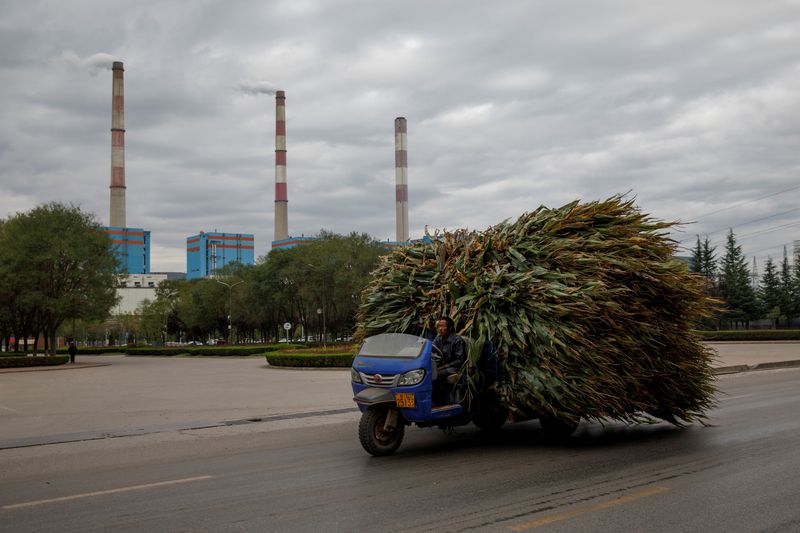 &copy; Reuters. Imagen de archivo de un agricultor manejando una camioneta cargada de maíz por el distrito de Pingliang, China. 19 septiembre 2020. REUTERS/Thomas Peter