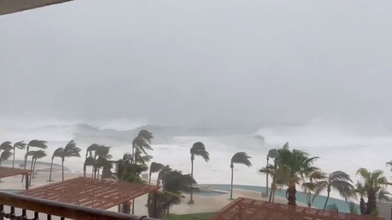 &copy; Reuters. FOTO DE ARCHIVO: Los árboles se balancean en medio de fuertes lluvias mientras el huracán Olaf azota Cabo San Lucas, Baja California, México en esta imagen fija tomada de un video de las redes sociales.. 9 de septiembre de 2021, REUTERS / Dominique Tor
